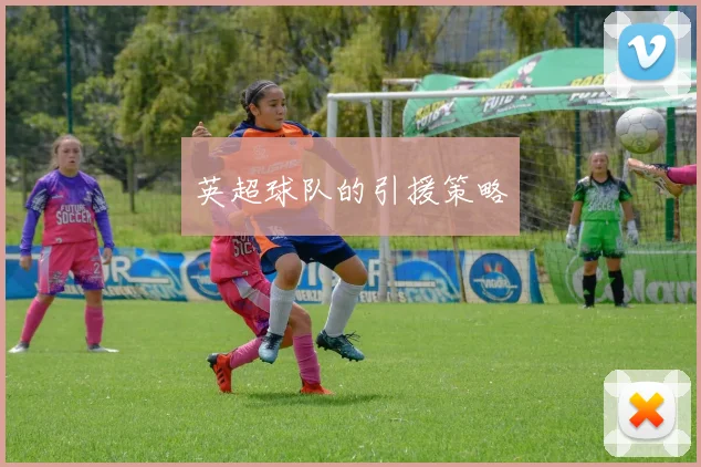 英超球队的引援策略