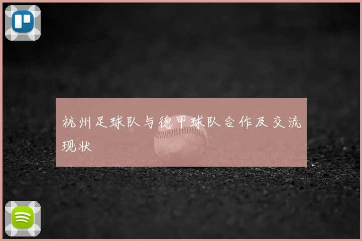 杭州足球队与德甲球队合作及交流现状